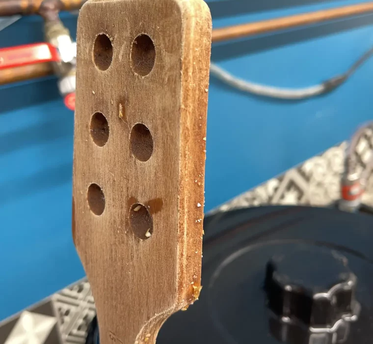 C&S-happy_new_bear_2022_20