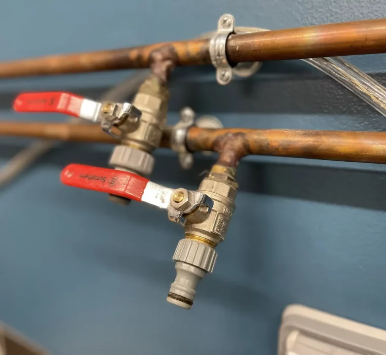 C&S-happy_new_bear_2022_28