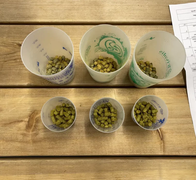 C&S-happy_new_bear_2022_31