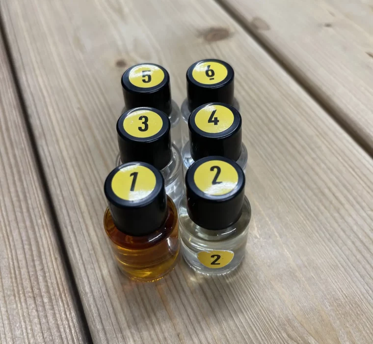 C&S-happy_new_bear_2022_32