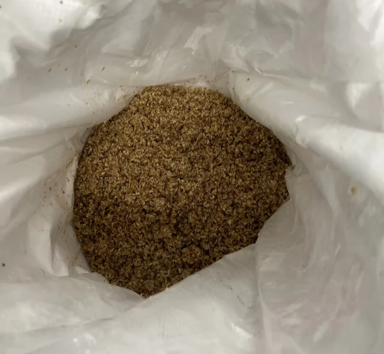 C&S-happy_new_bear_2022_39