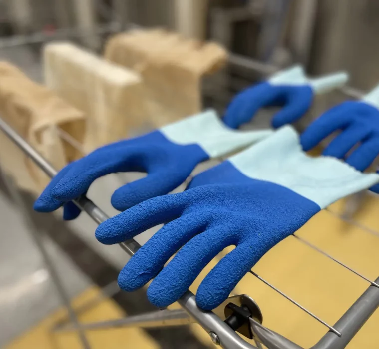 C&S-happy_new_bear_2022_40