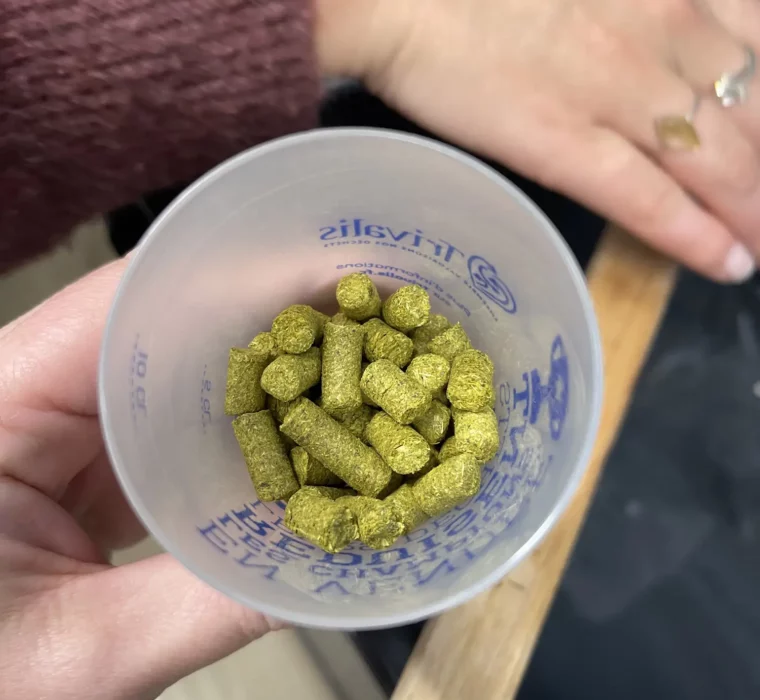 C&S-happy_new_bear_2022_45