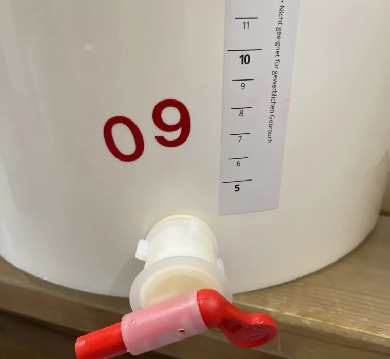 C&S-happy_new_bear_2022_57