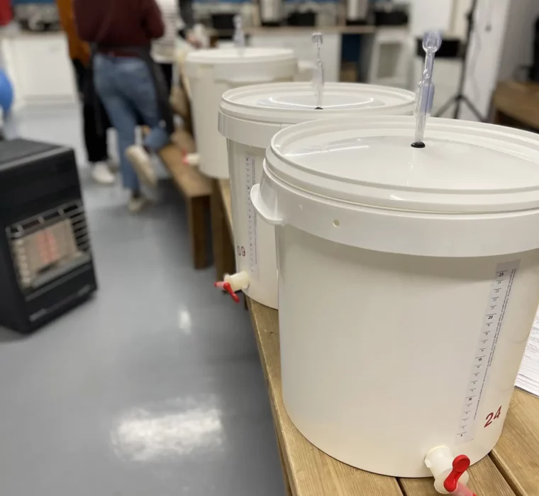 C&S-happy_new_bear_2022_59