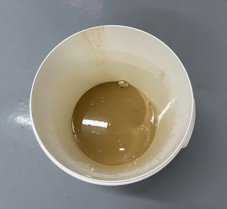 C&S-happy_new_bear_2022_62