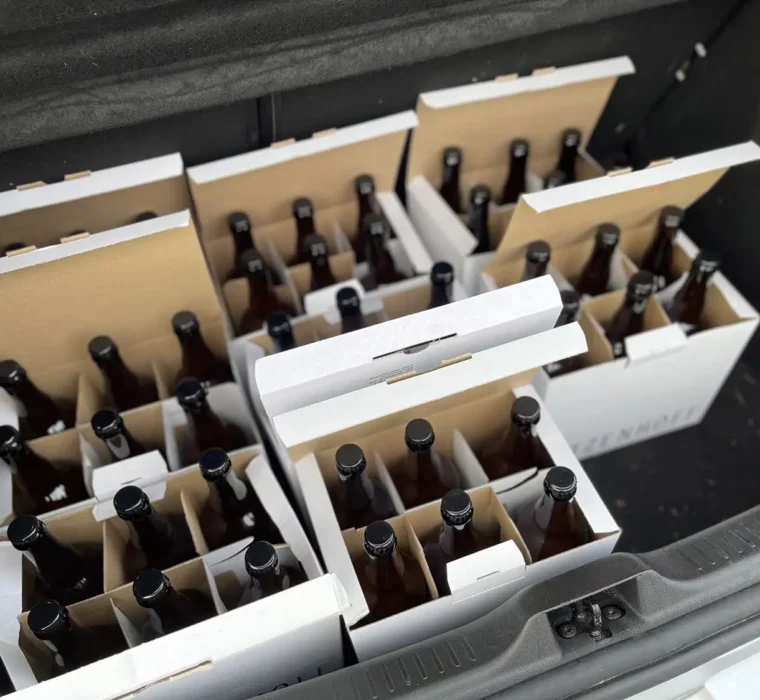 C&S-happy_new_bear_2022_79